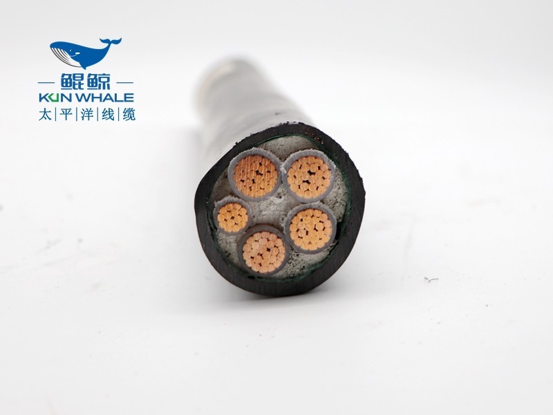 wdznyjy-4*150+1*70低煙無鹵電纜 wdznyjy-4*150+1*70