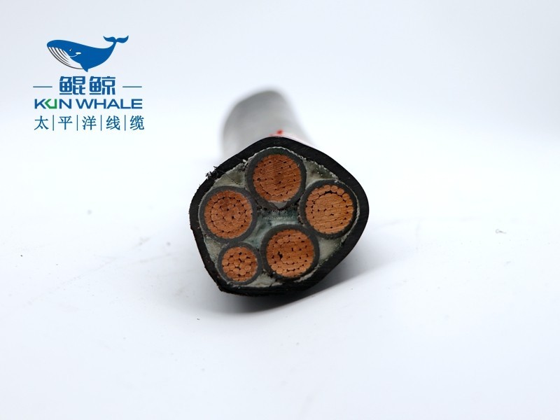 wdznyjy4x240+1x120低煙無鹵電纜 低煙無鹵電纜