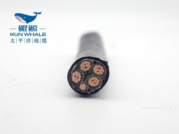 WDZ-YJY/WDZ-YJLY 0.6/1KV 低煙無(wú)鹵電力電纜系列 WDZ-YJY/WDZ-YJLY 0.6/1KV 低煙無(wú)鹵電力電纜系列